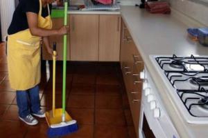 Domsticas Sin datos  Domesticas